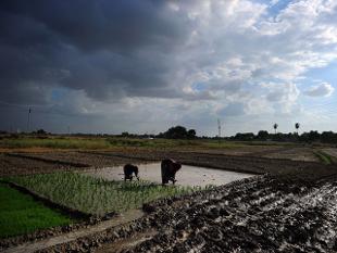 8_kisan-project-hailstorm-app