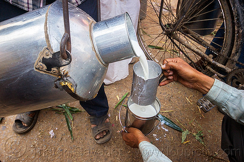 India Leads in Milk Production