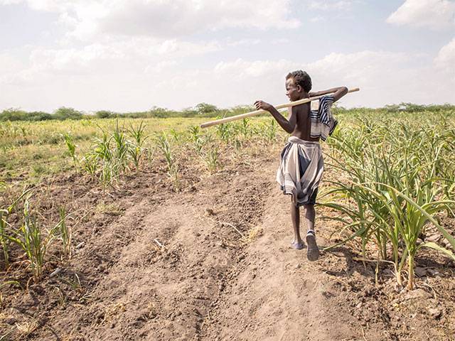 Cloud Seeding to Bring Rain in Maharashtra