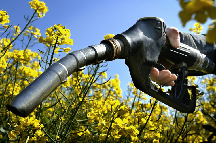 New Age Fuel from the Farm Waste Ready to Feed our Economy